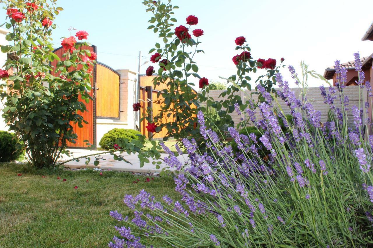 Вилла Sia & Sophie 'S House Santandrei Экстерьер фото