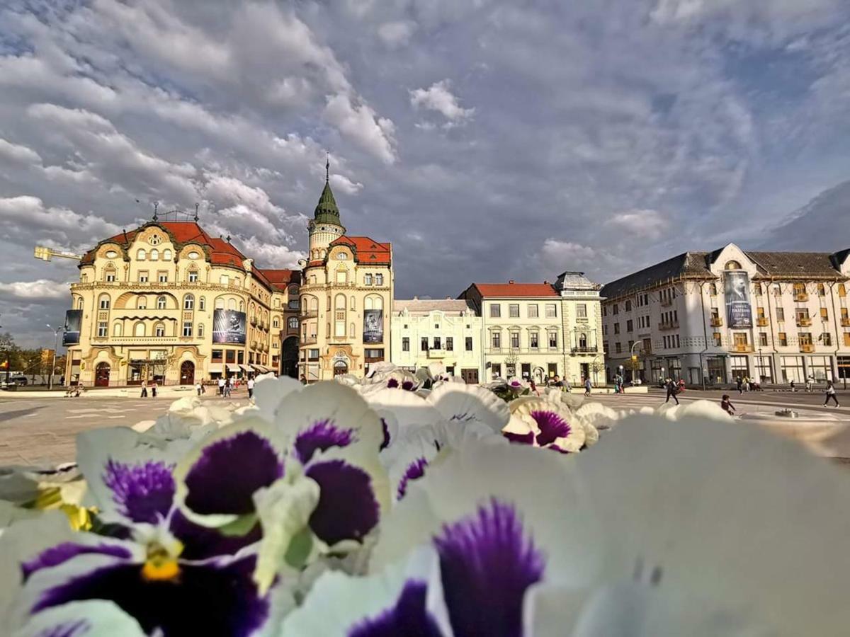 Вилла Sia & Sophie 'S House Santandrei Экстерьер фото